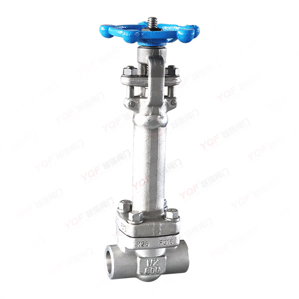 锻钢低温对焊闸阀