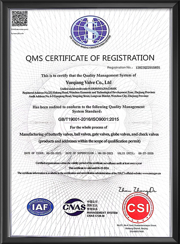 质量管理体系认证证书-英文